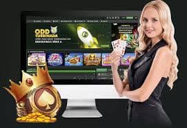 Panduan bermain bertanggung jawab di platform hiburan digital bro500 untuk pengguna dewasa